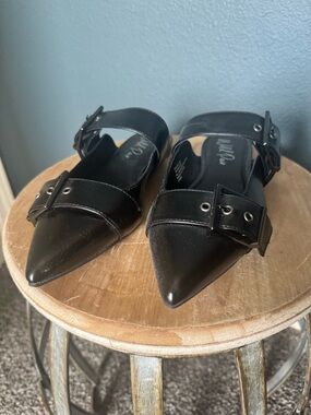 Wild Pair Black Pointed Buckle Mules